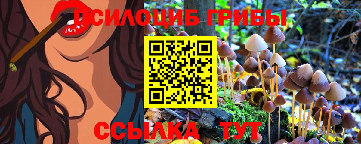 Бахчисарай  дарнет шоп  Вход с VPN  Псилоцибиновые грибы Magic Shrooms 